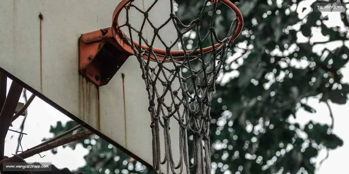 我们的品牌价值